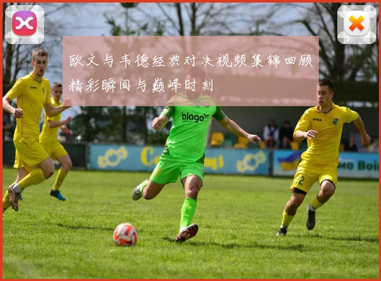 欧文与韦德经典对决视频集锦回顾精彩瞬间与巅峰时刻