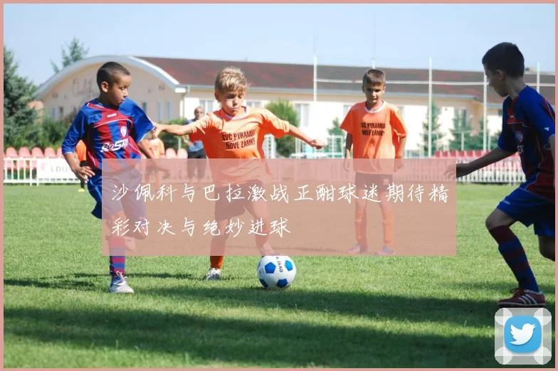 沙佩科与巴拉激战正酣球迷期待精彩对决与绝妙进球