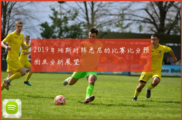 2019年珀斯对阵悉尼的比赛比分预测及分析展望