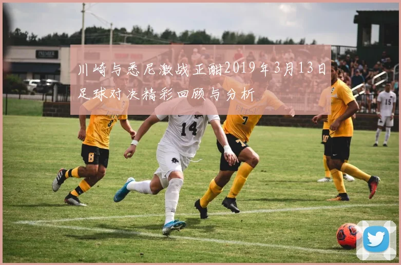 川崎与悉尼激战正酣2019年3月13日足球对决精彩回顾与分析
