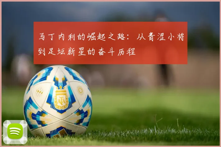 马丁内利的崛起之路：从青涩小将到足坛新星的奋斗历程